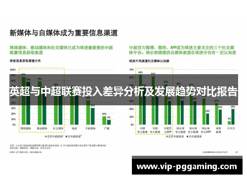 英超与中超联赛投入差异分析及发展趋势对比报告