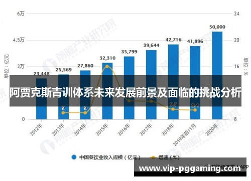 阿贾克斯青训体系未来发展前景及面临的挑战分析