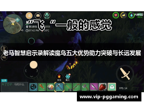 老马智慧启示录解读魔鸟五大优势助力突破与长远发展